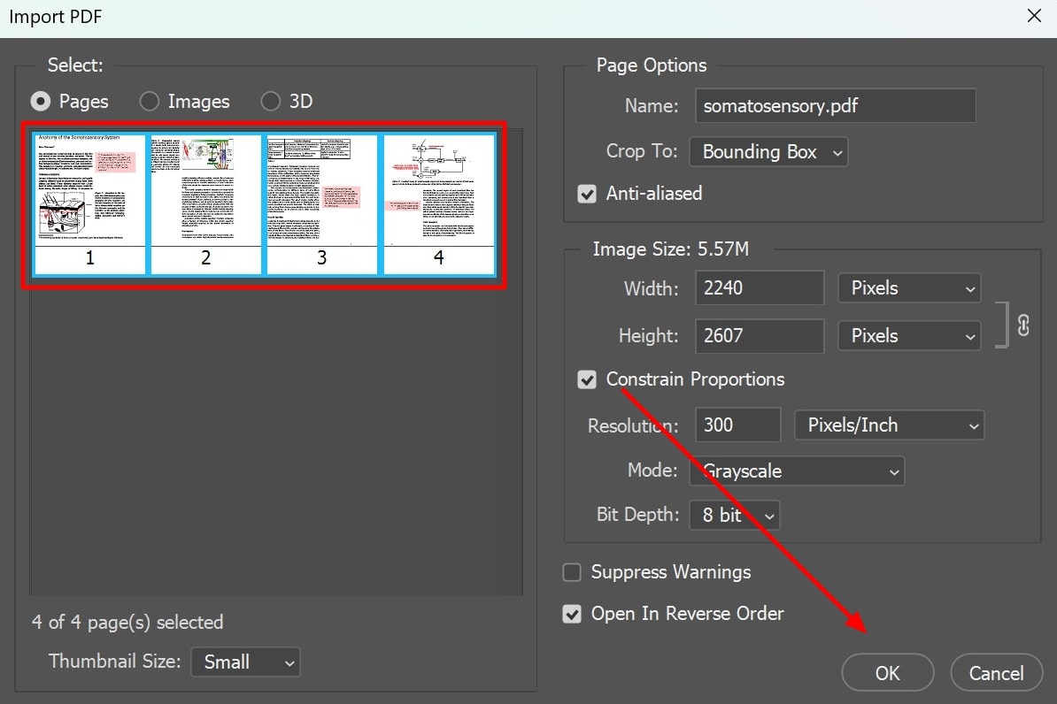 define importing parameters photoshop