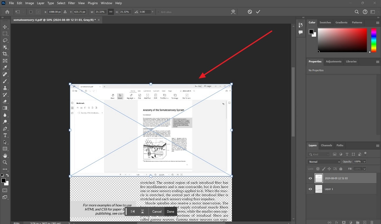 add picture using photoshop in pdf