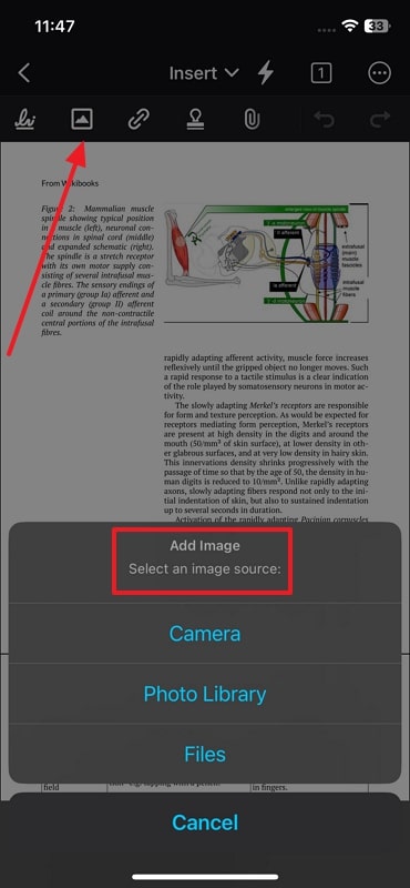 add image into pdf xodo