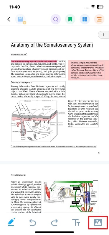 edit pdf with image insertion