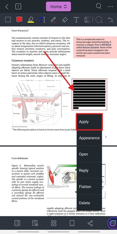 apply redaction on text foxit