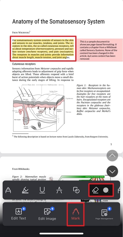 remove highlight from pdf wps