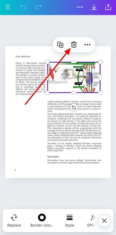 remove image from canva app