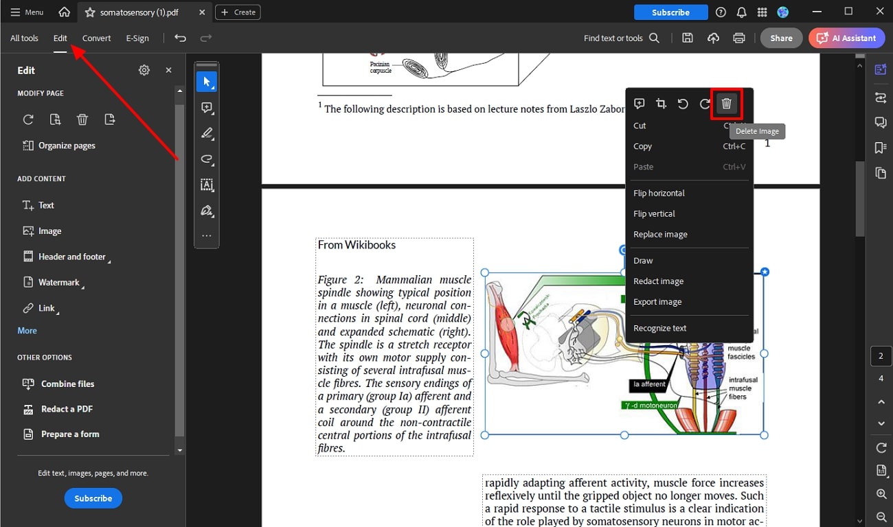 delete image from pdf acrobat