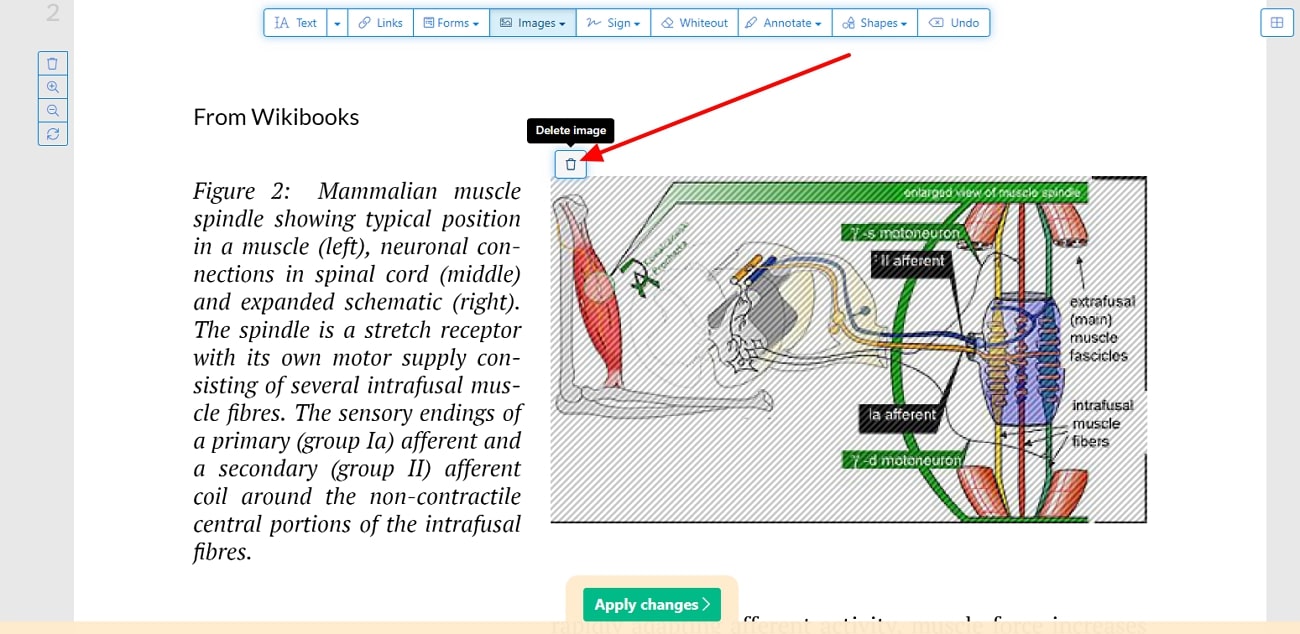 remove image from sejda pdf