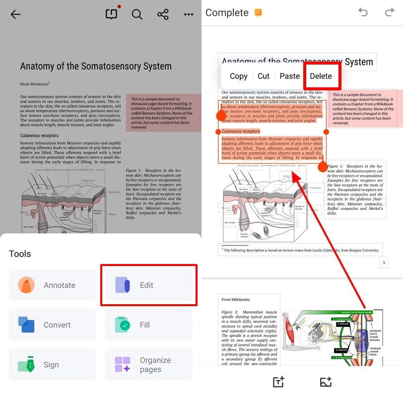 remove text from pdf mobile