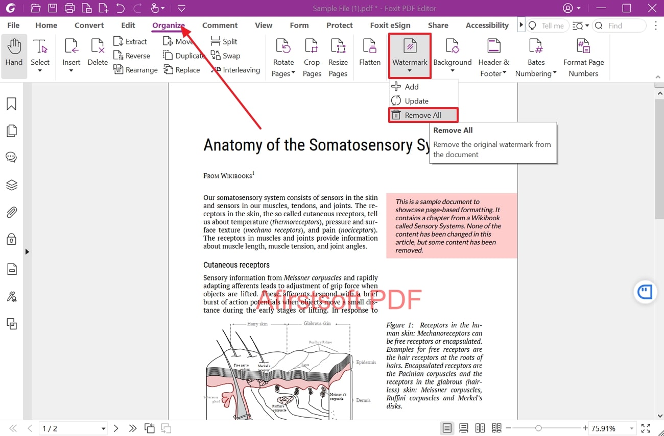 remove watermark from foxit pdf