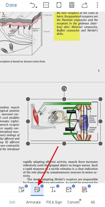 enable edit feature in wps