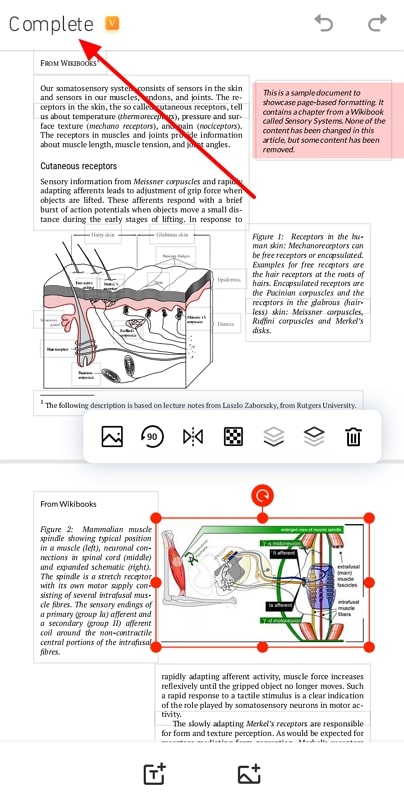 resize image and save pdf pro