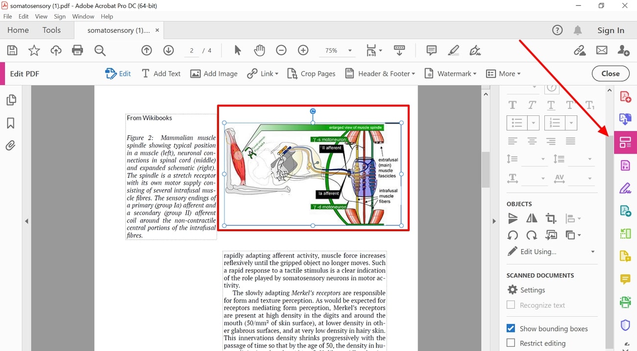 navigate to edit feature acrobat