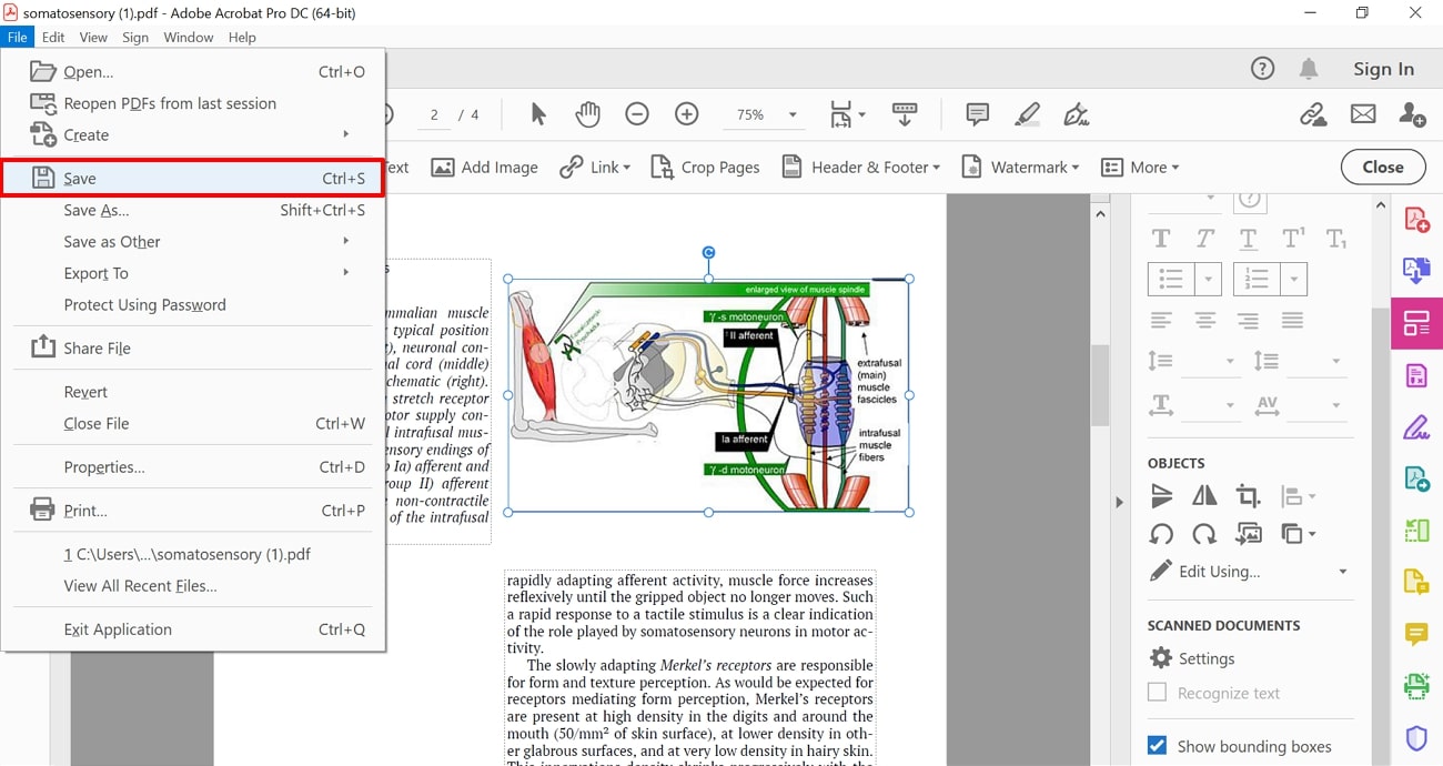 resize image and save pdf