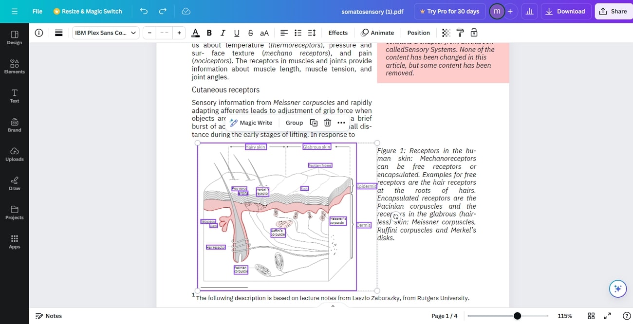 resize the picture across canva