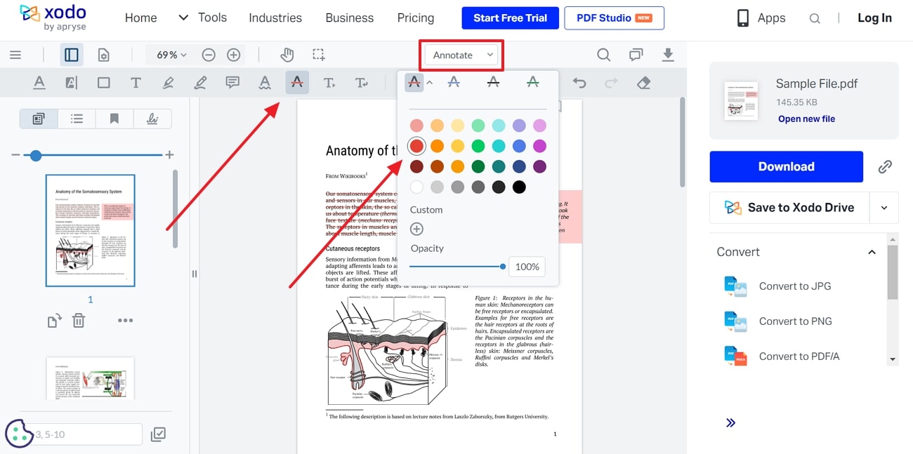 look for strikethrough annotation settings