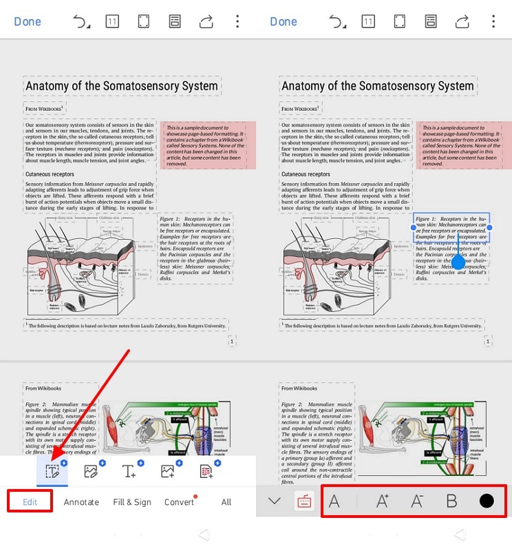 change text in wps office app