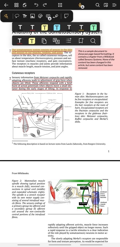 flexcil notes underline text pdf