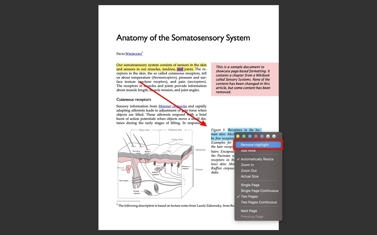 remove highlights from preview