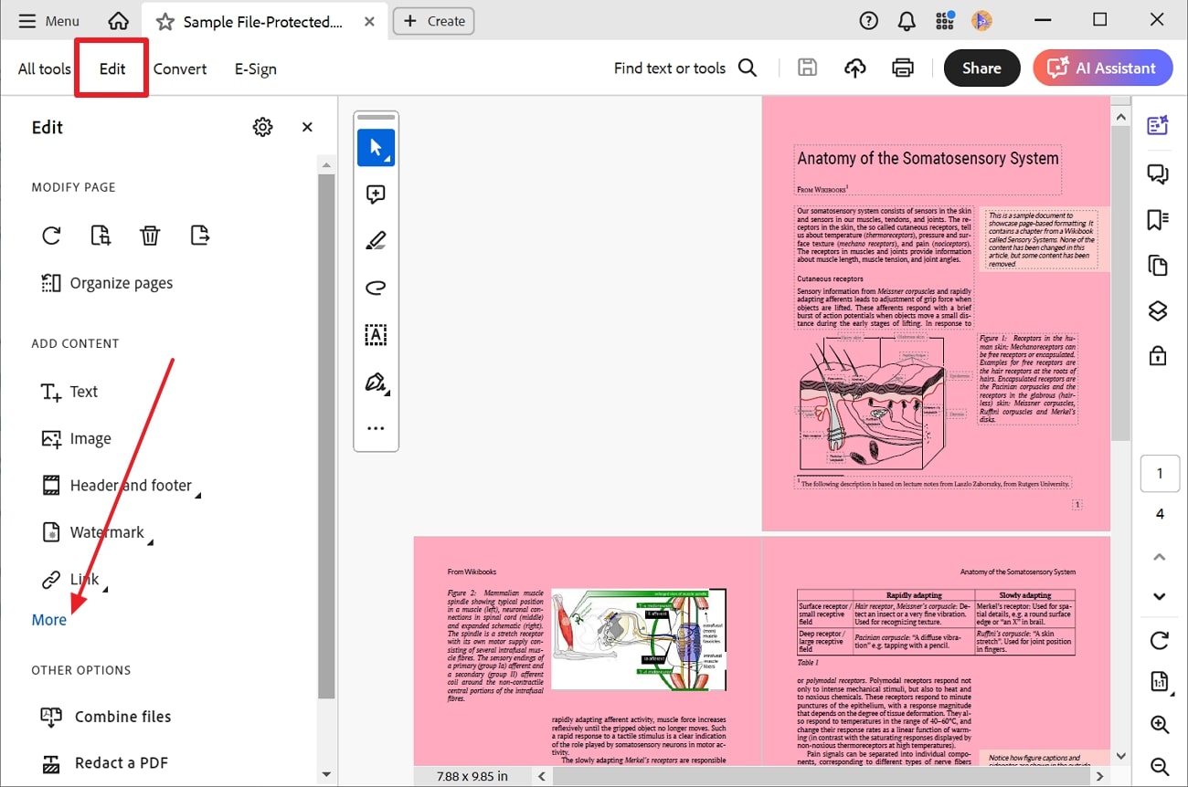 access edit options acrobat