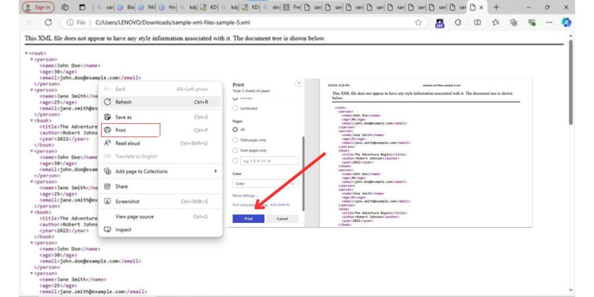 print the xml file<strong><strong> </strong></strong>