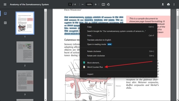 tap on word counter plus option