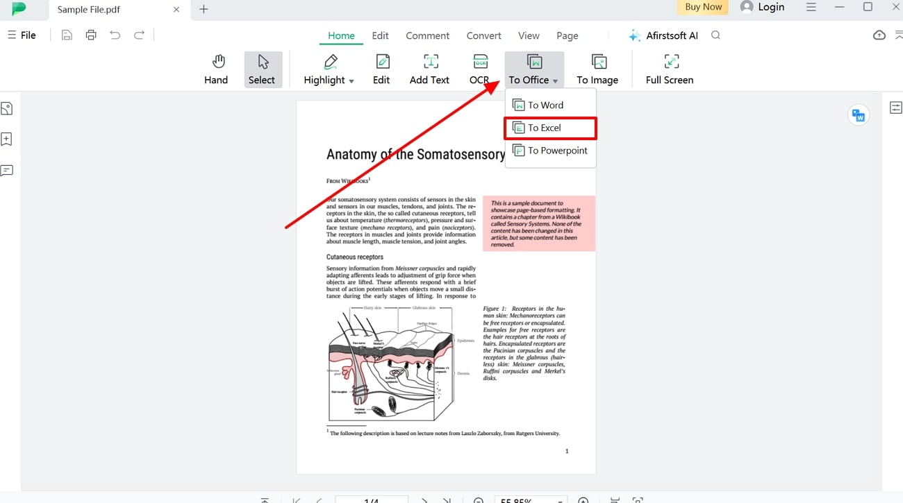 proceed to the excel option