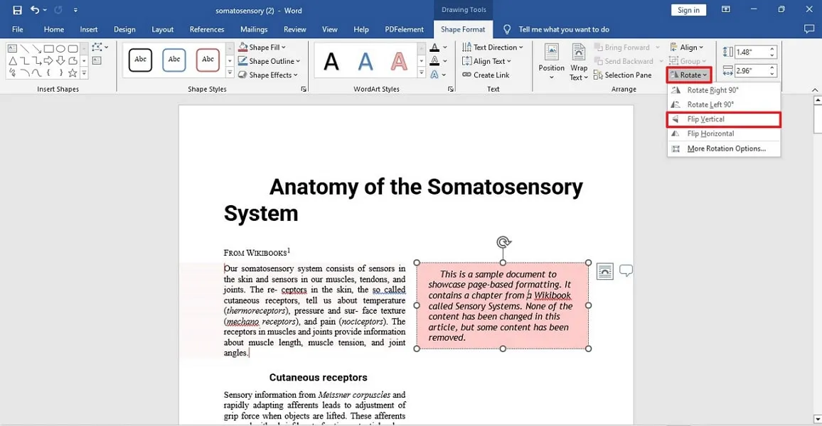 flip object within ms word