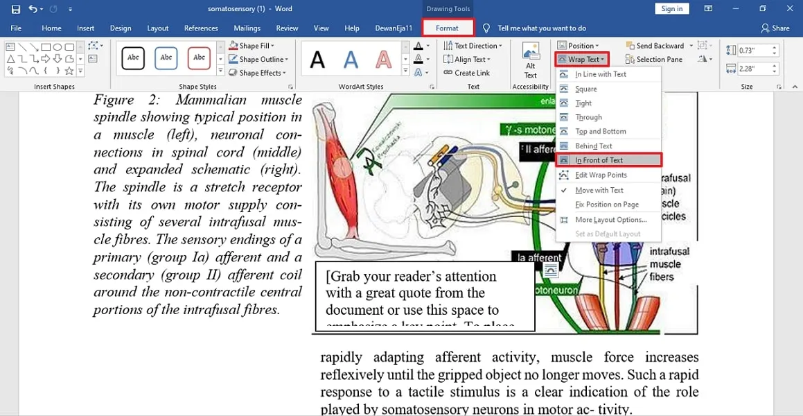 define layout of image word