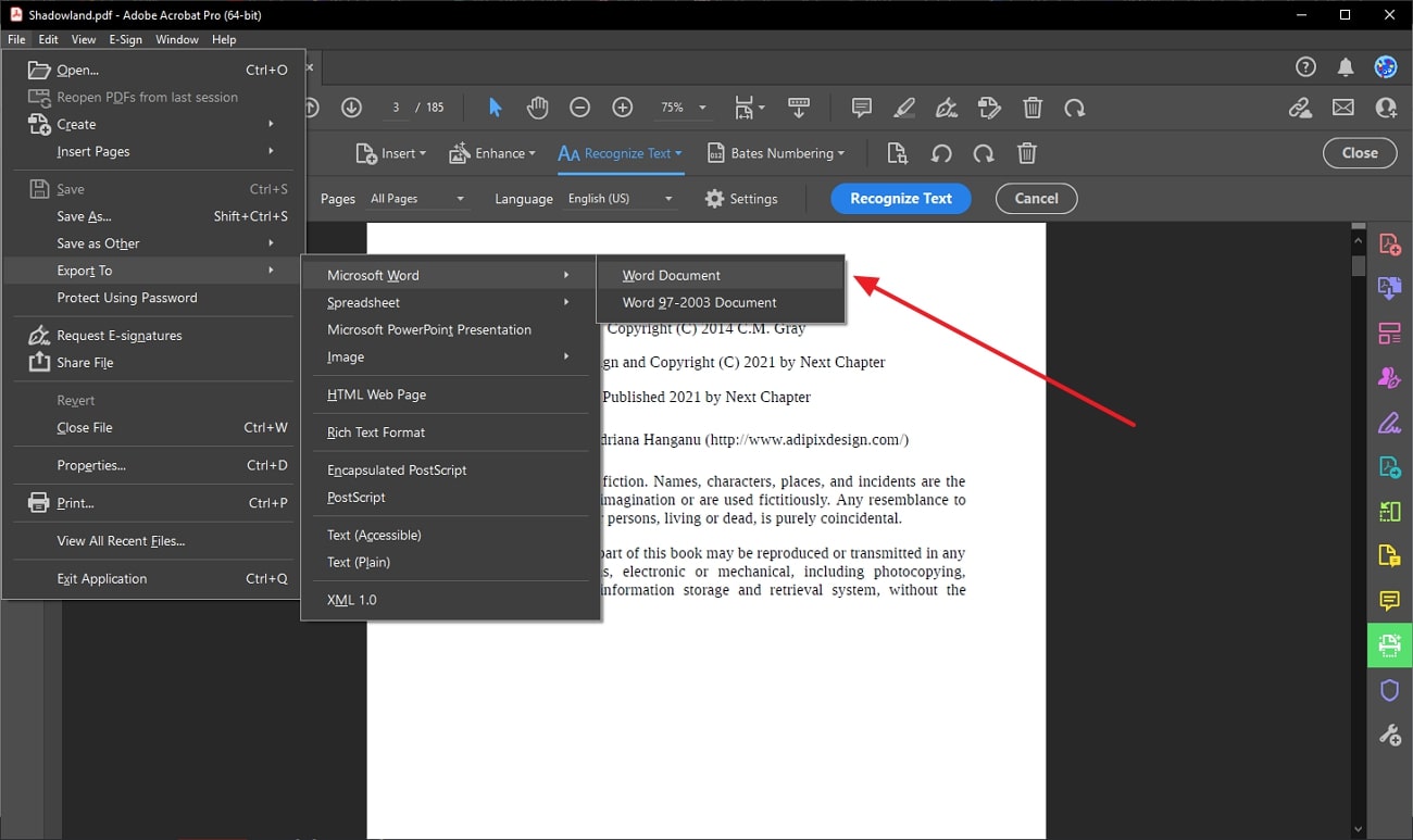 convert pdf into word document