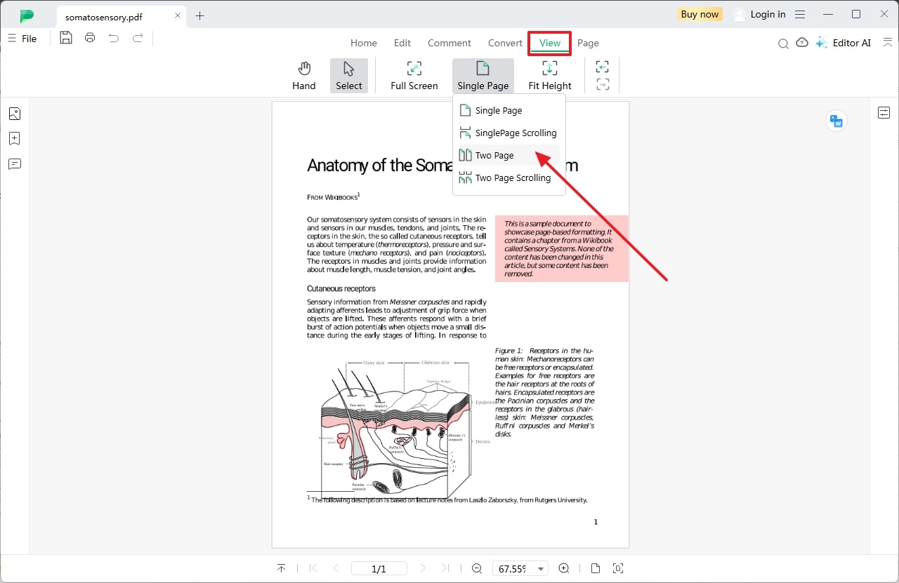 modify pdf view settings