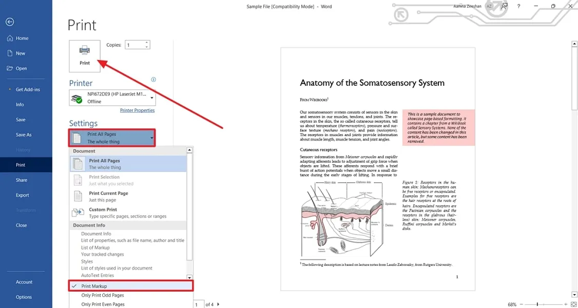 disable print markup settings word