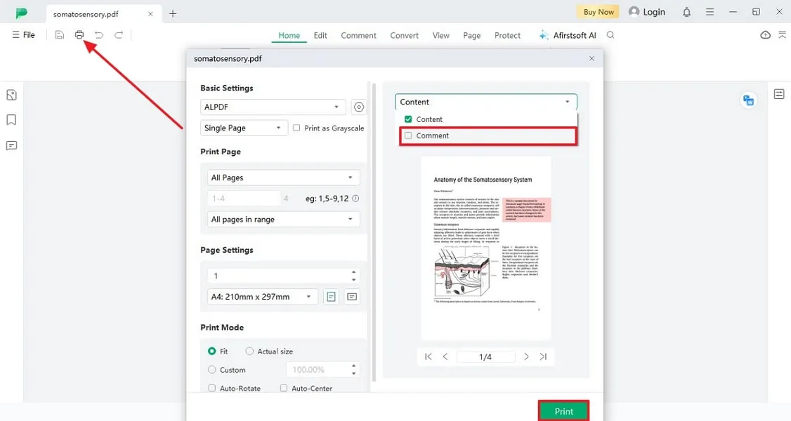 define print settings without comments afirstsoft