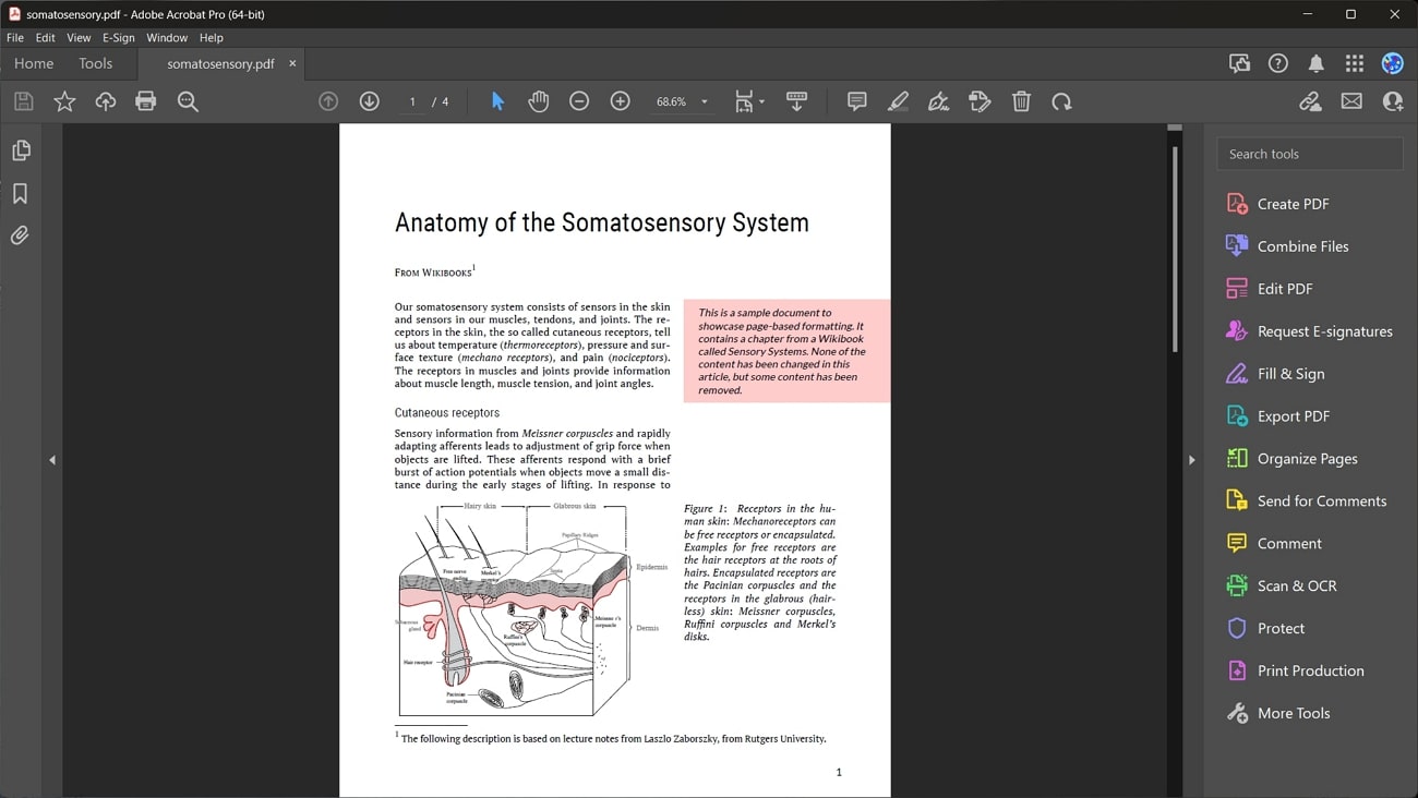 adobe acrobat pdf viewer