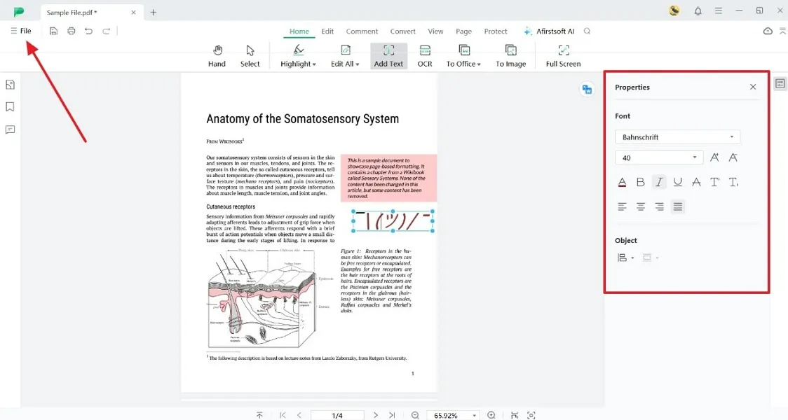 customize appearance of shrug text afirstsoft