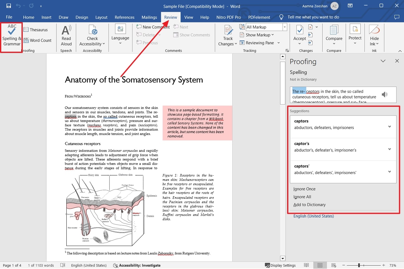 select spelling and grammar tool