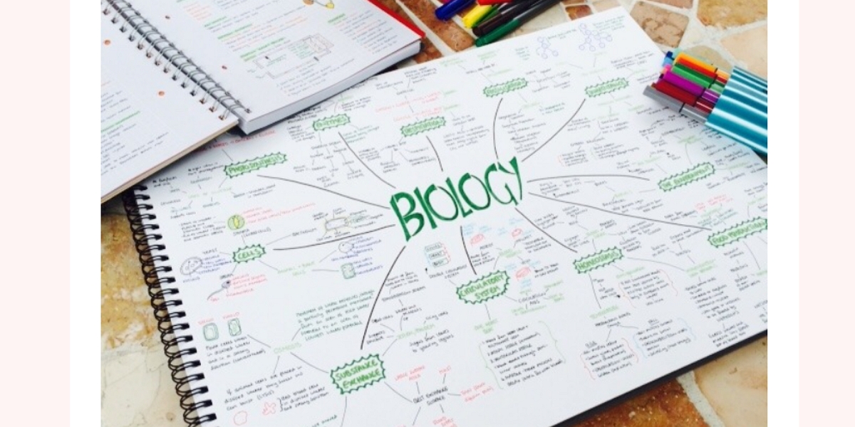 Mind map representation