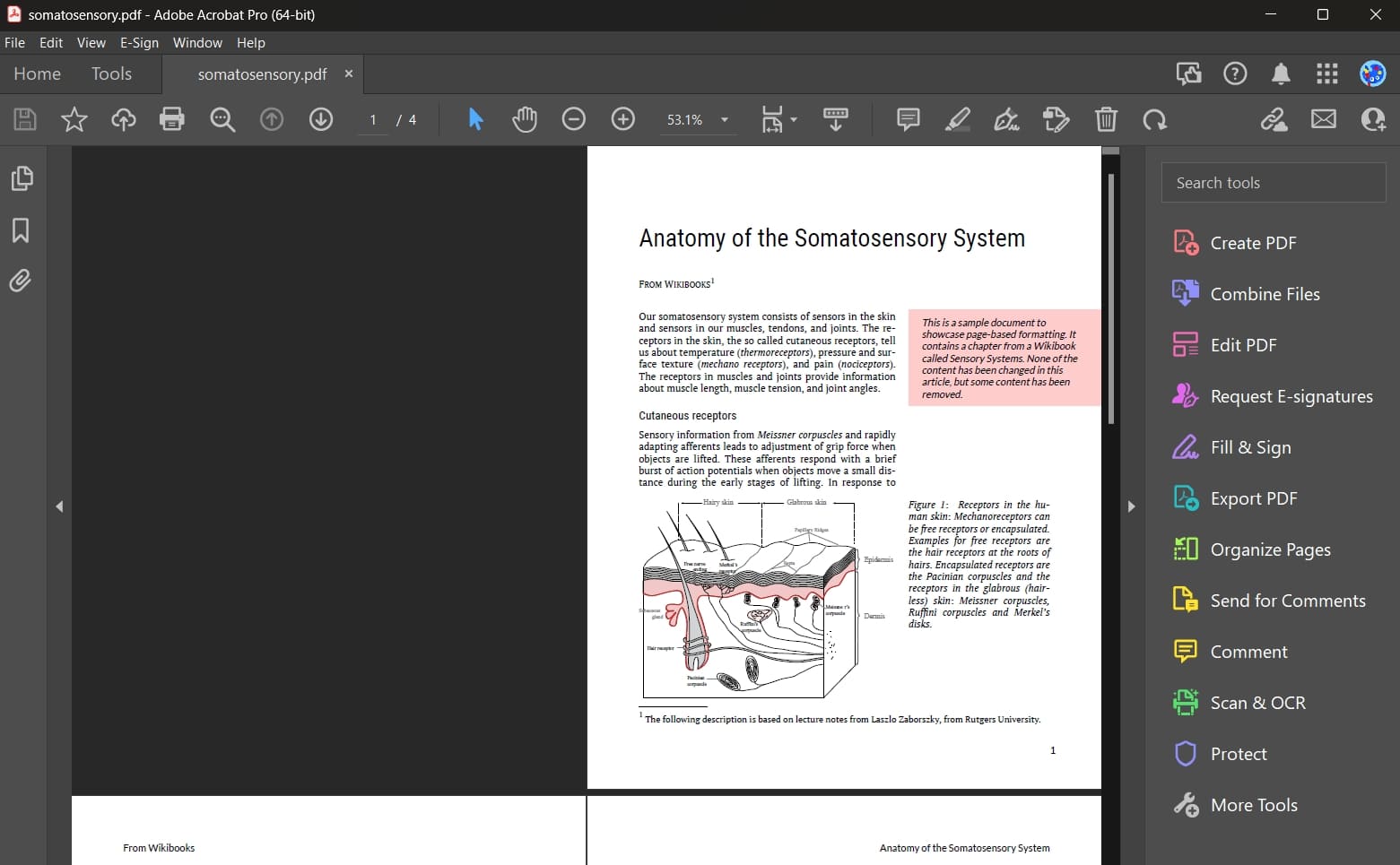 adobe acrobat ocr tool