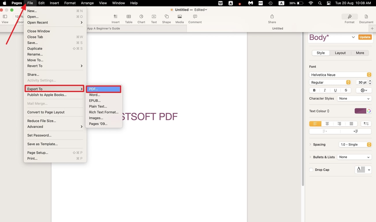 select the pdf format