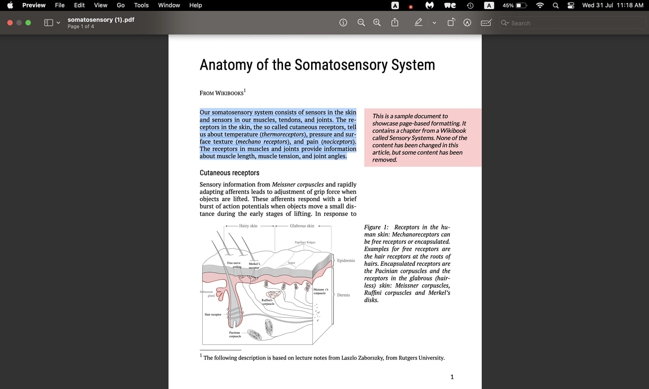 copy the document text