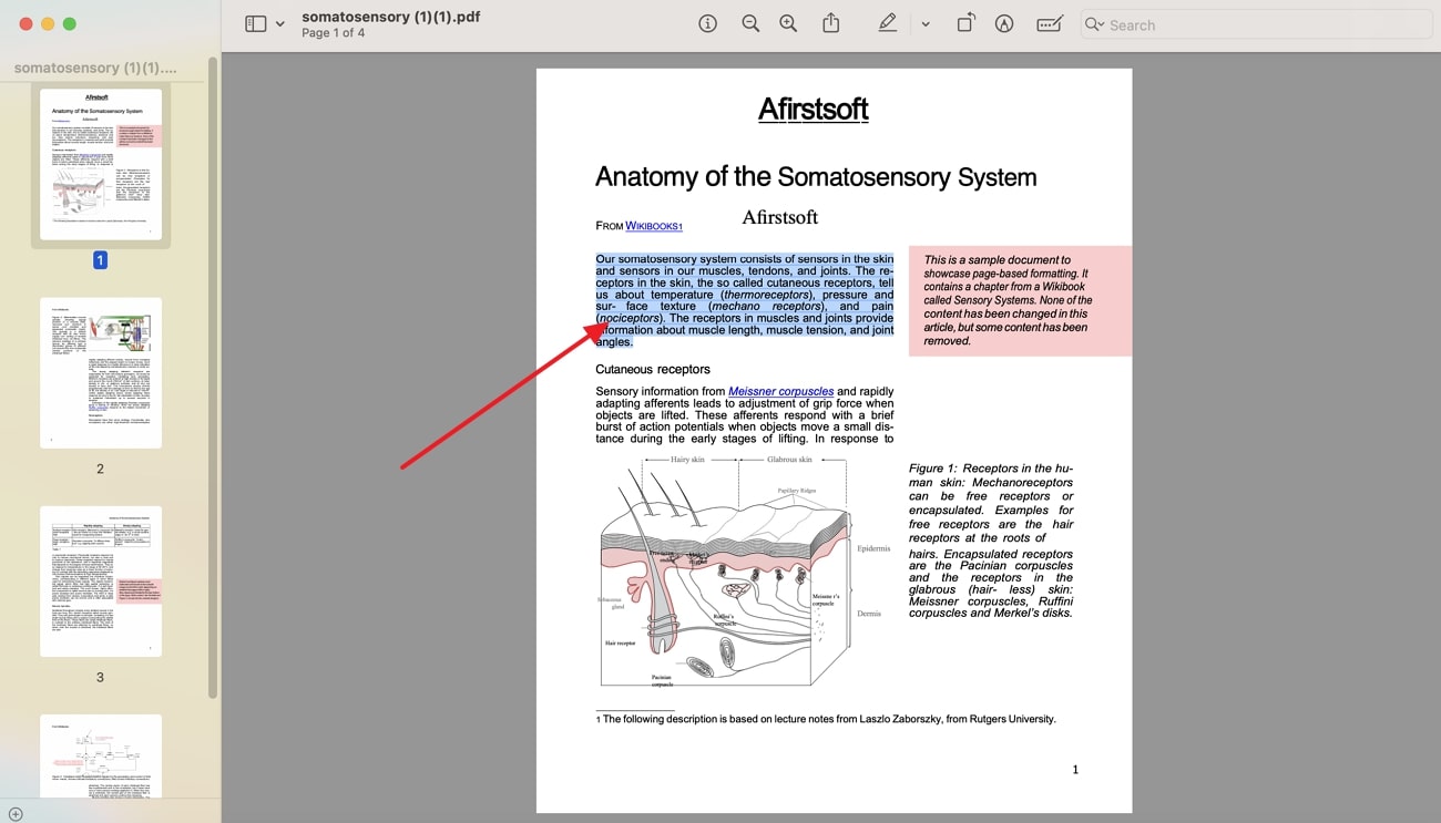 copy the document content