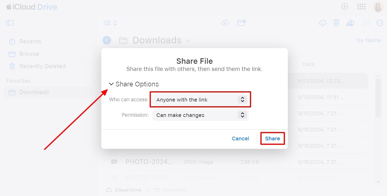 modify the share options