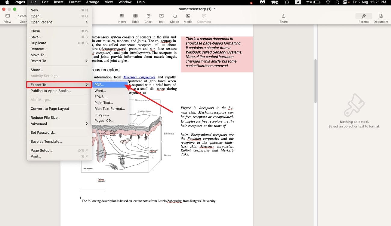 proceed with pdf option