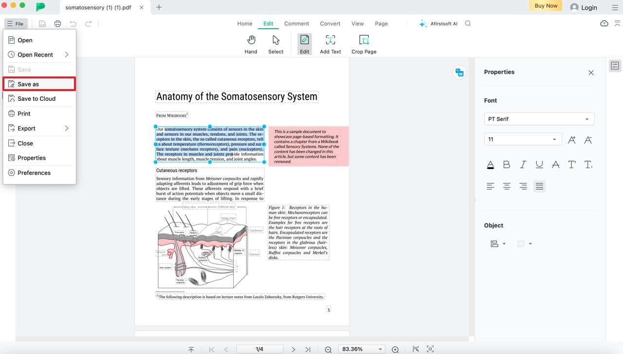 save the pdf file