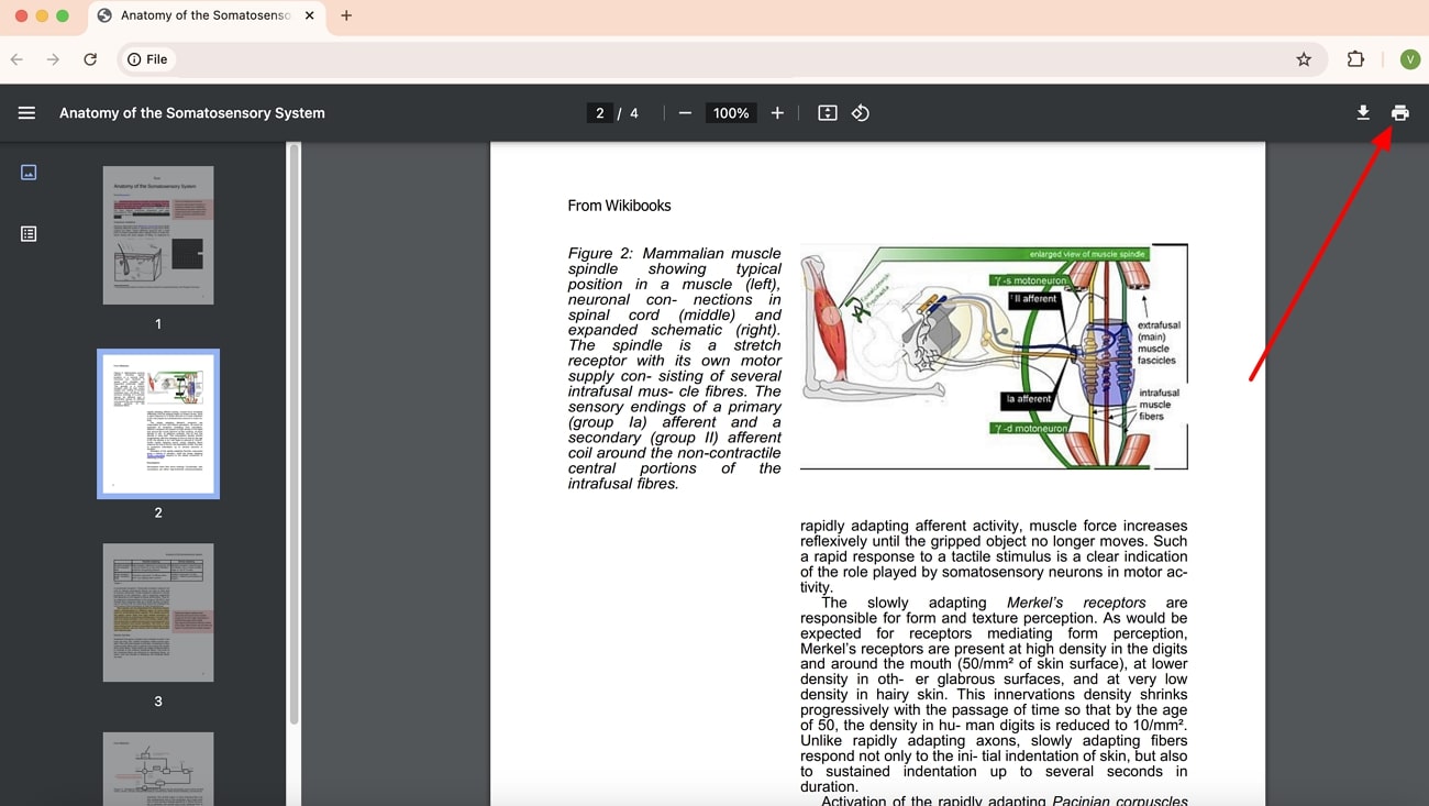 click the print tool