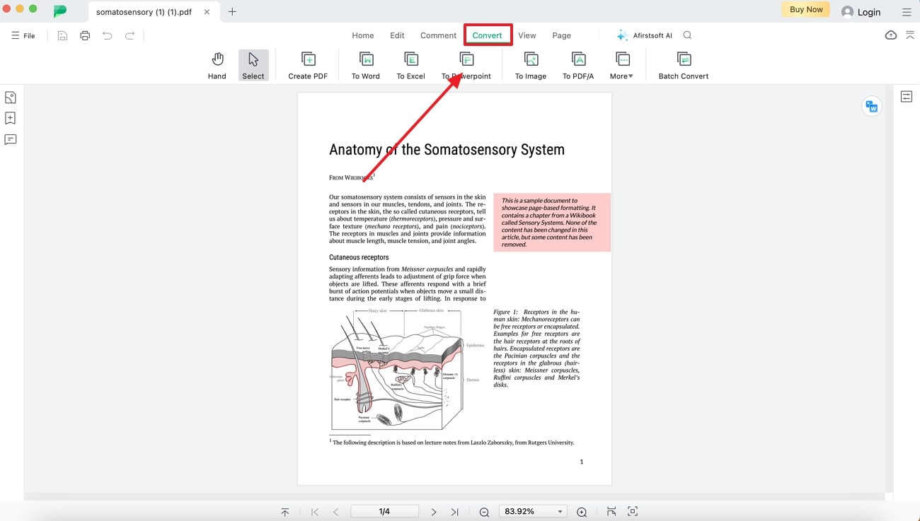 open your pdf document