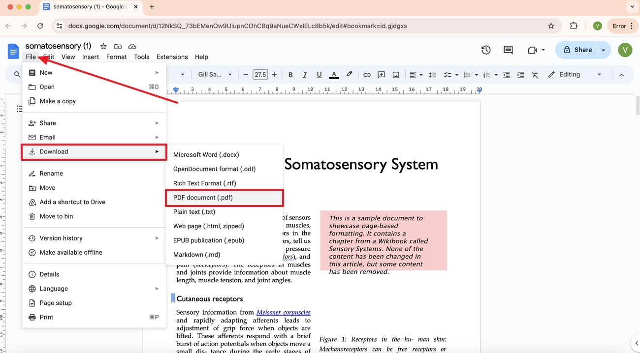 download document as pdf