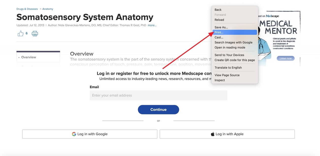 choose the print option