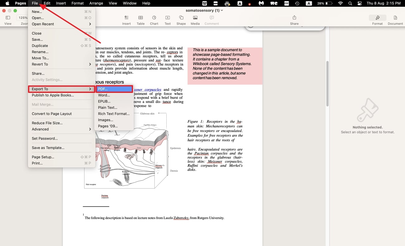 export document as pdf file