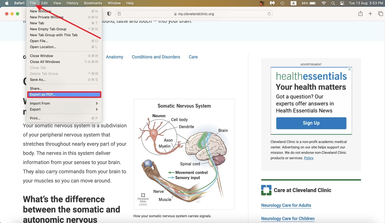 select export as pdf feature