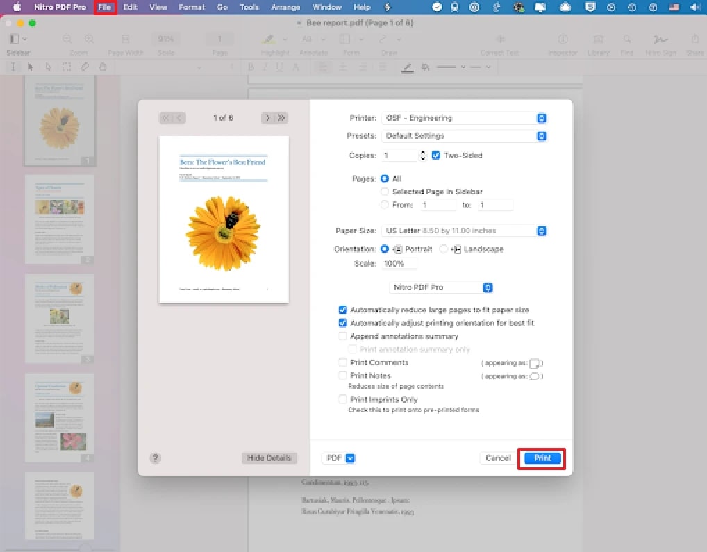 print pdf via nitro pdf