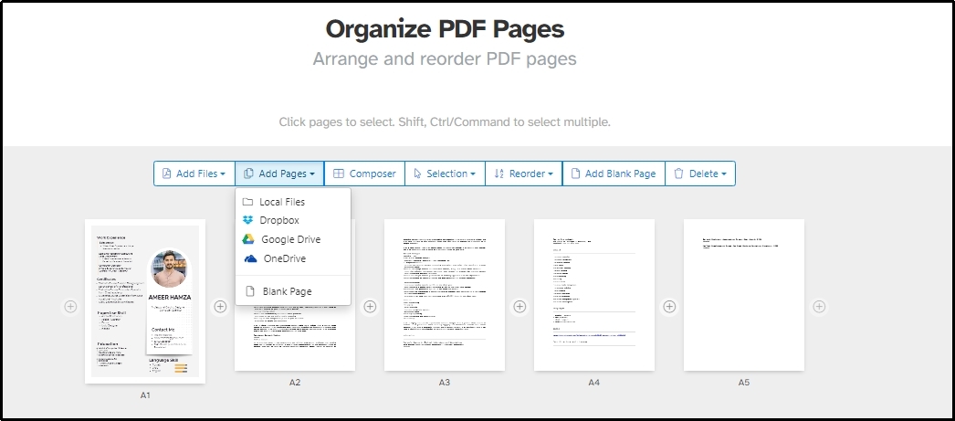 blank page inserting option in Sejda pdf