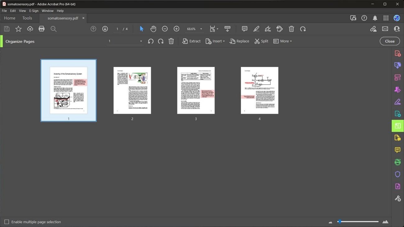 adobe acrobat best pdf organizer for windows